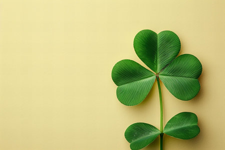 Clover leaf on yellow background. St. Patrick's Day conceptの写真素材
