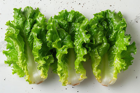 fresh green lettuce leaves on white background, top view, close upの写真素材