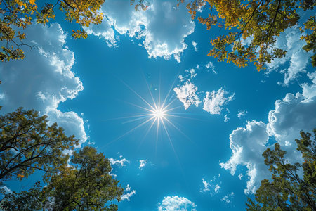 Blue sky with white clouds and sun shining through the branches of trees