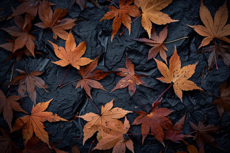 Maple leaves on black stone background. Colorful autumn background.