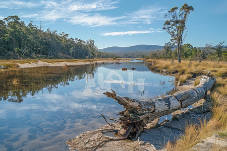 A view of a lake surrounded by treesの写真素材