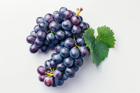 Bunch of black grapes with green leaves on a white background.