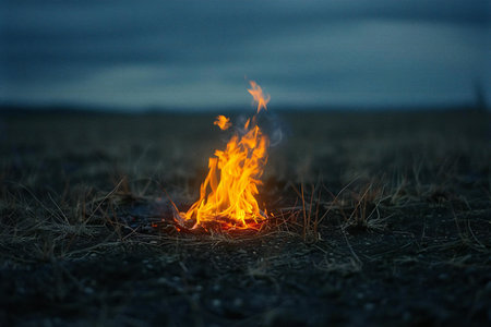 Burning fire in the field at night, close-up.