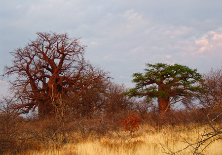 The Old and the Newの写真素材