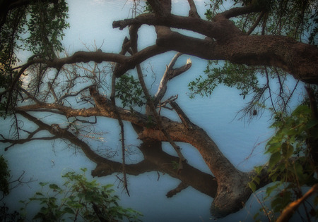 Reflections on Waterの写真素材