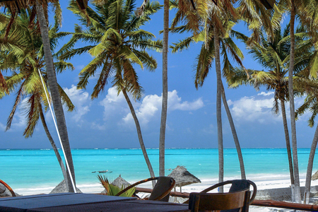 Paje Beach Zanzibarの写真素材