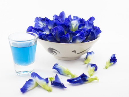 Butterfly pea flowersの写真素材