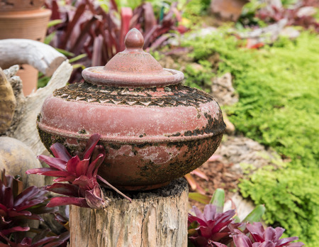 Mini garden decoration by pottery jar, pottery pitcherの写真素材
