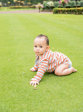Adorable Asian baby boy crawling on the green grass field when he playing in the park.の写真素材