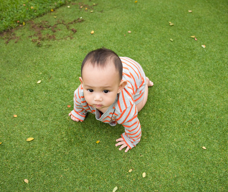 baby crawling on the green grass field in the parkの写真素材