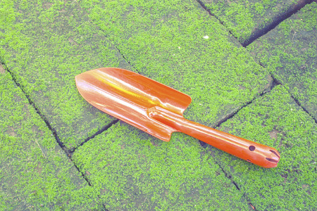 gardening shovel on the moss brick floorの写真素材