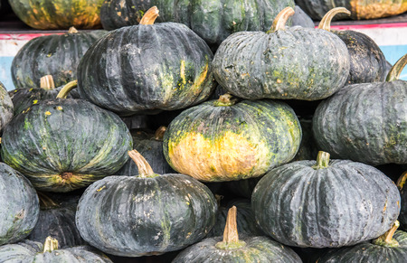 pile of Pumpkin, fresh and young pumpkin in market place of Thailandの写真素材