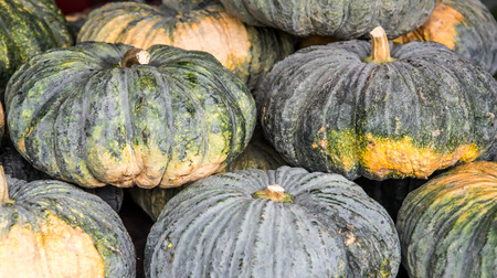 pile of Pumpkin, fresh and young pumpkin in market place of Thailandの写真素材