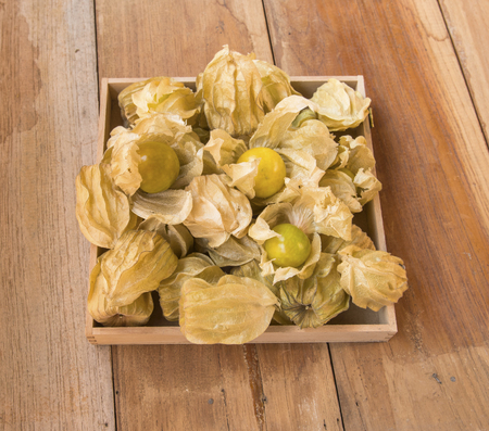 cape gooseberry on the wood boardの写真素材