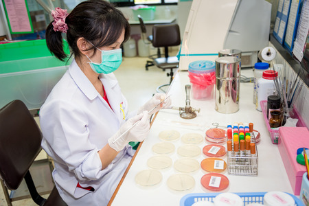 Medical Technologist streak plate for bacteria culture  or identify with biochemical at  microbiology roomの写真素材