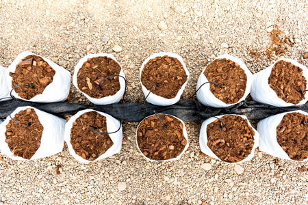 soil in white plastic bag with pipe watering system  for planting in glass houseの写真素材