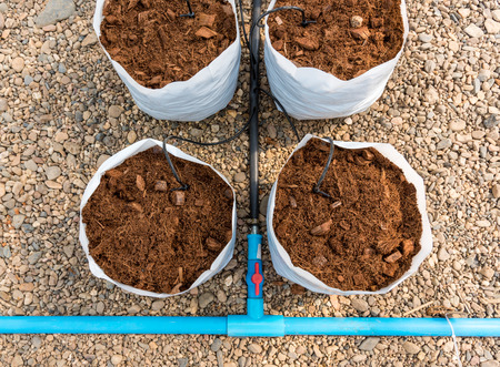 soil in white plastic bag with pipe watering system  for planting in glass houseの写真素材