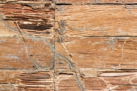 grunge wood texture , old wooden wallの写真素材