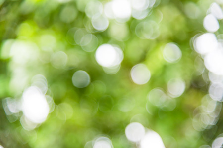 bokeh of light through down from treeの写真素材