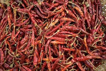 Dry Red chili pepper for Thai food.の写真素材