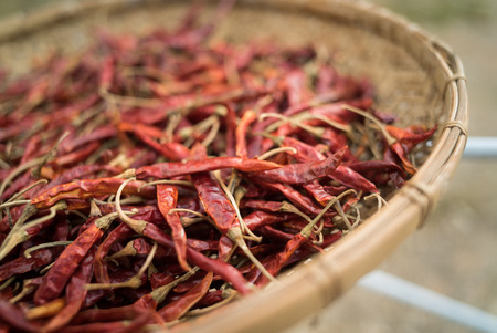 Dry Red chili pepper for Thai food.の写真素材