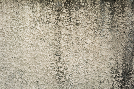 cement plaster wall backgroundの写真素材