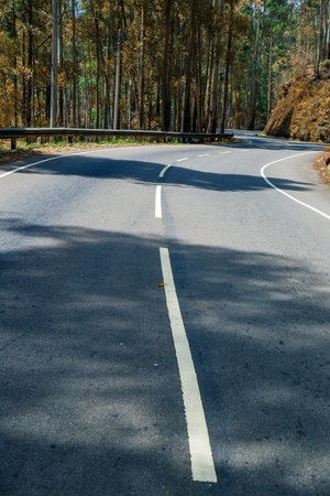 Beautiful hills Roadway middle view in Nuwara Eliya Sri Lanka