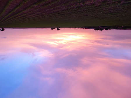 Beautiful sunset in my farm and beautiful skyの写真素材