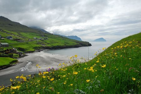Beachの写真素材