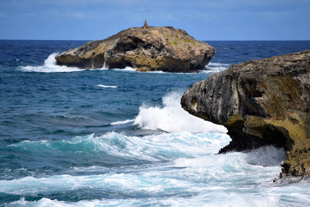 Hawaiiの写真素材