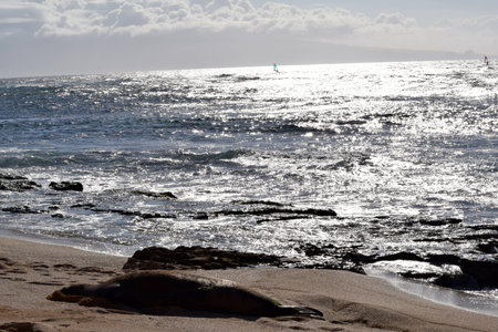 Hawaiiの写真素材