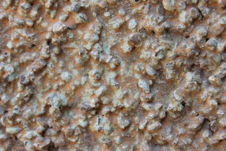 Wall textureの写真素材