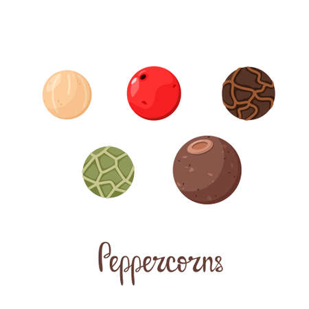 A set of peppercorns on a white background. Spices. vector illustration.のイラスト素材