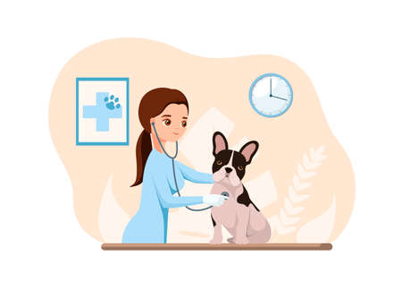 A veterinarian listens to a French bulldog with a stethoscope. flat design.のイラスト素材