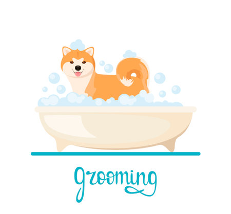 Funny akita washes in the bathroom. Grooming. cartoon design.のイラスト素材