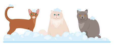 Cats in soap suds. Grooming. cartoon design.のイラスト素材