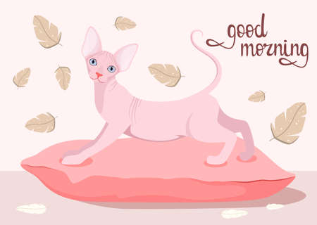 A cat on a pillow with feathers. good morning. postcard. cartoon design.のイラスト素材