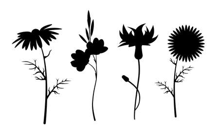 A set of black silhouettes of wildflowers on a white background.のイラスト素材