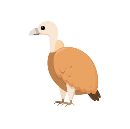Cute cartoon-style vulture on a white background.のイラスト素材