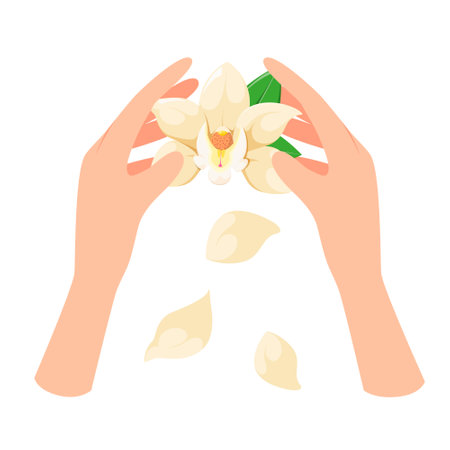 Orchid flower in women's hands on a white background.のイラスト素材