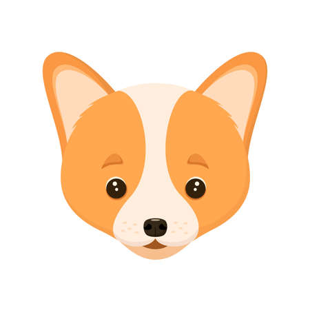 Cute puppy on a white background. The head of a corgi.のイラスト素材
