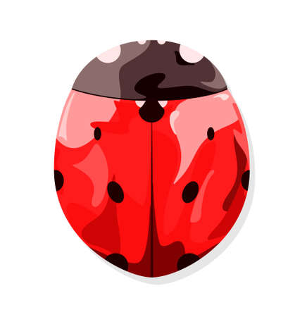 A bright ladybug on a white background. Summerのイラスト素材