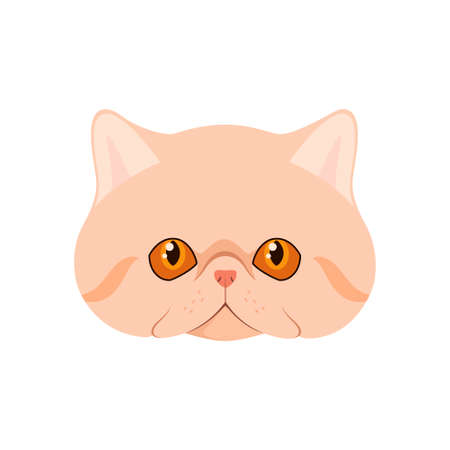 The head of an exotic cat on a white background. cartoon design.のイラスト素材