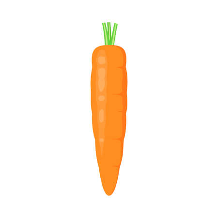 A whole carrot in a cartoon design on a white background. Ripe raw vegetable.のイラスト素材