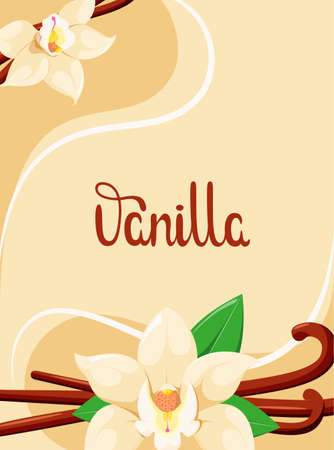 Poster with vanilla. Spices. vector illustration.のイラスト素材