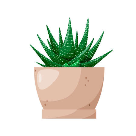 Green cactus in a pot on a white background. cartoon design. vector illustration.のイラスト素材