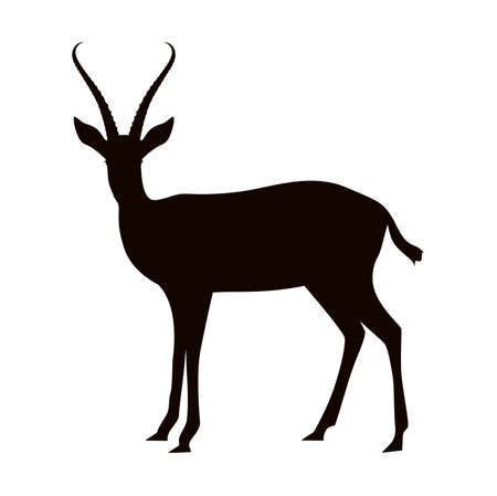Black silhouette of an antelope on a white background. Gazelle. Animals of Africa. safariのイラスト素材