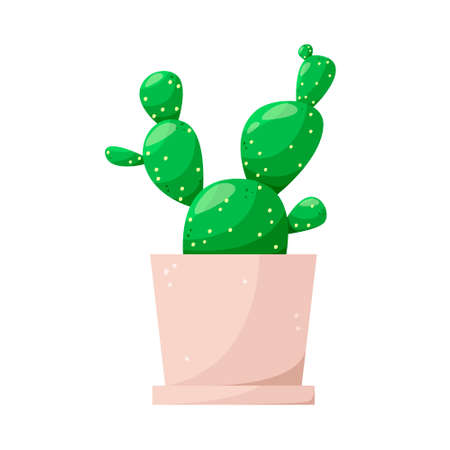 A green cactus in a pot. cartoon design. Vector illustration on a white background.のイラスト素材