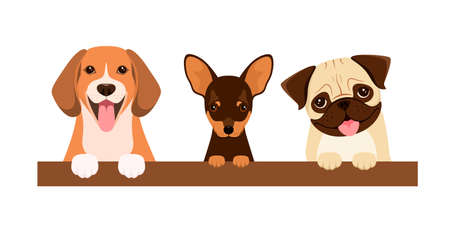 Funny dogs on a white background. cartoon design.のイラスト素材