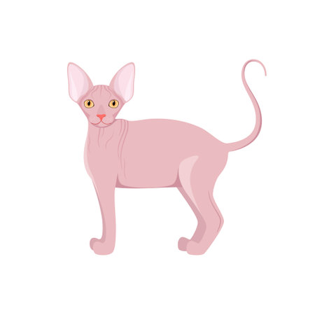 Sphinx cat on a white background. cartoon design.のイラスト素材